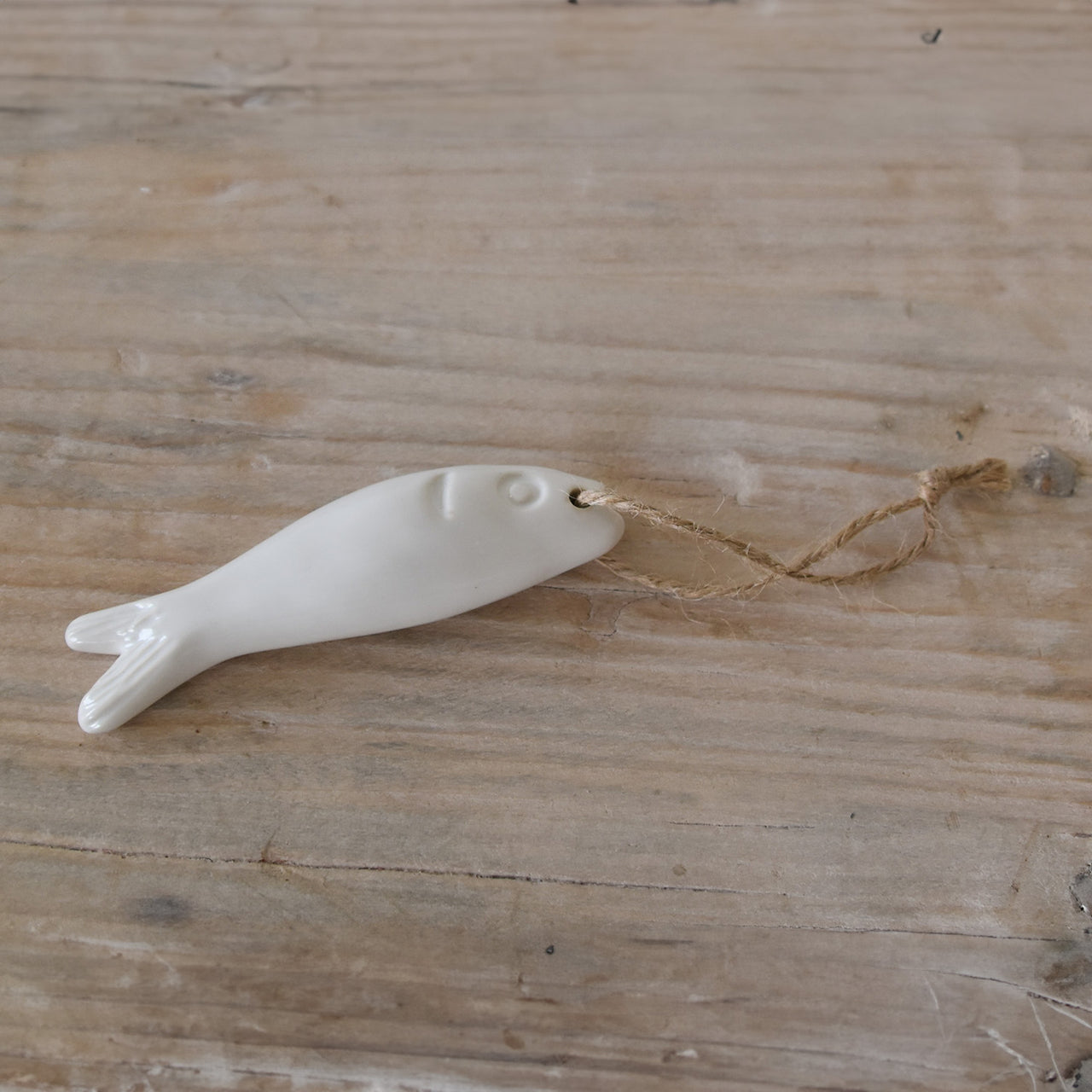 דג מקרמיקה על חוט