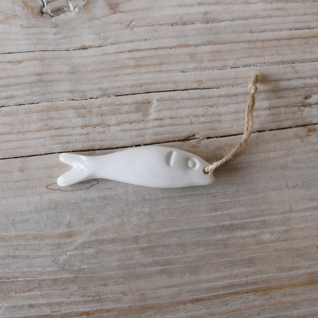 דג מקרמיקה על חוט