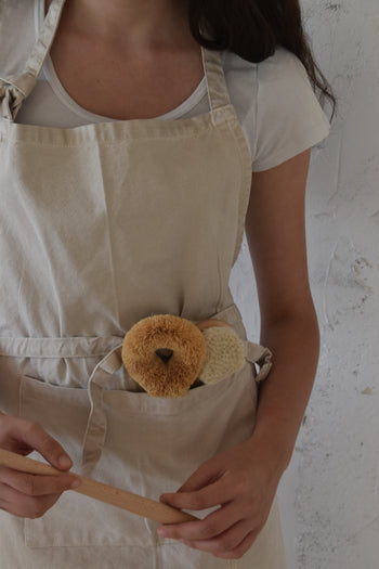 מברשת לולאה