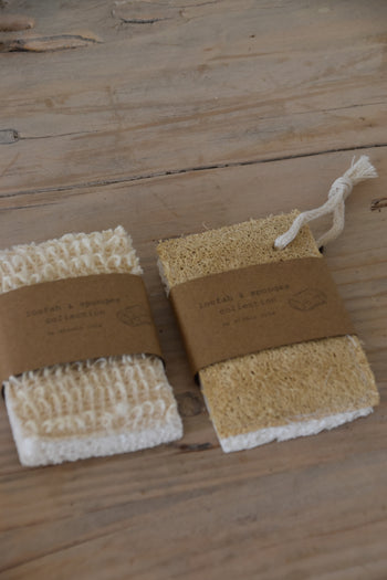 ספוג / סקוטש