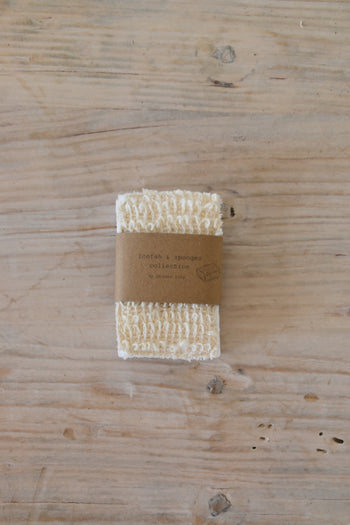 ספוג / סקוטש