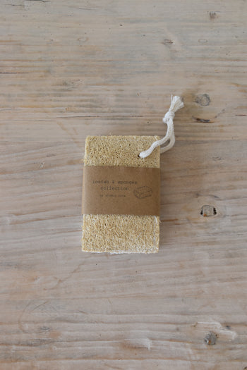 ספוג / סקוטש