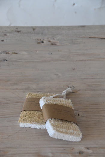 ספוג / סקוטש