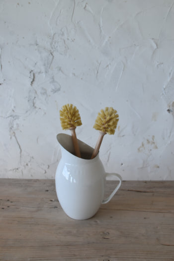 מברשת קיפוד