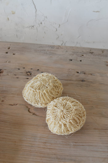 ספוג דיסק סיסל