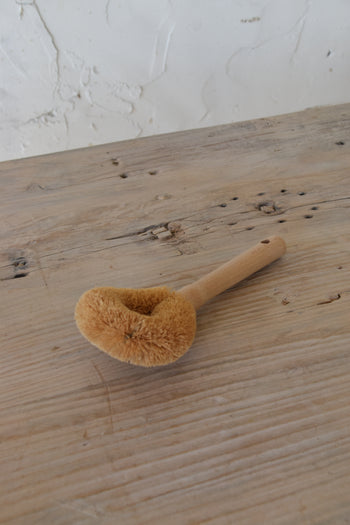 מברשת לולאה