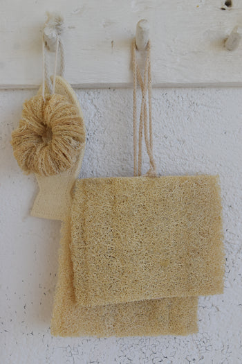 ליפה מצרית דונאט