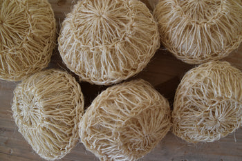 ספוג דיסק סיסל