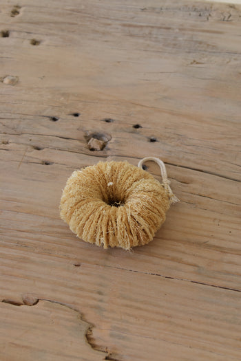 ליפה מצרית דונאט