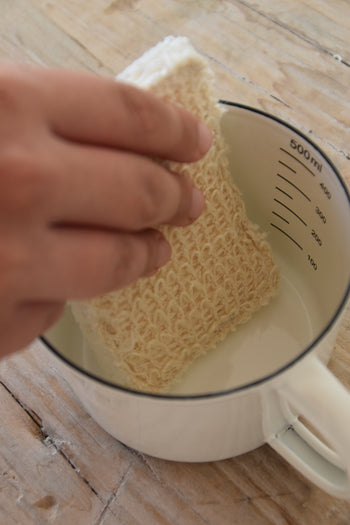 ספוג / סקוטש