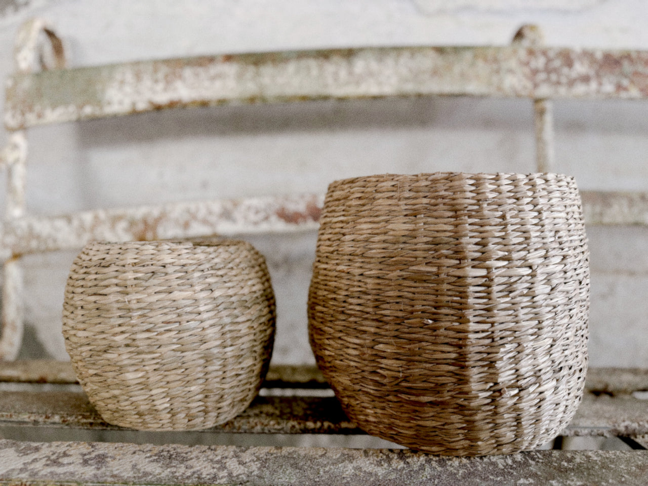 סל עציץ בשני גדלים