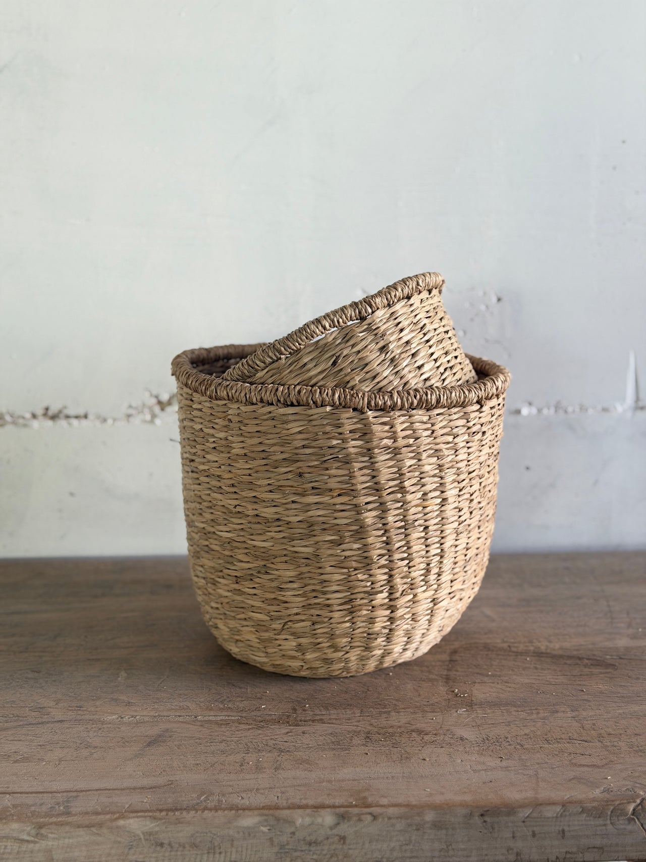 סל עשב ים סיומת מעוגלת