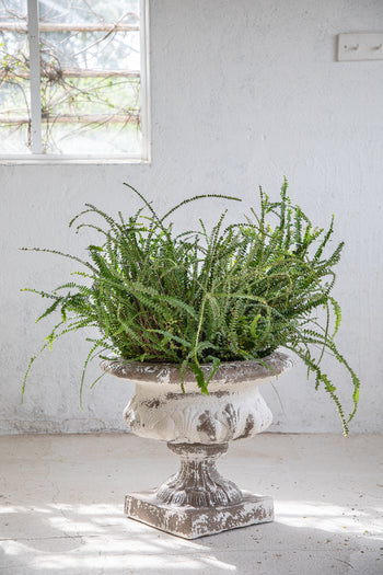 כד יצוק פרובנס רחב