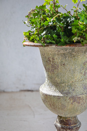 כד יצוק חלודה פרובנס