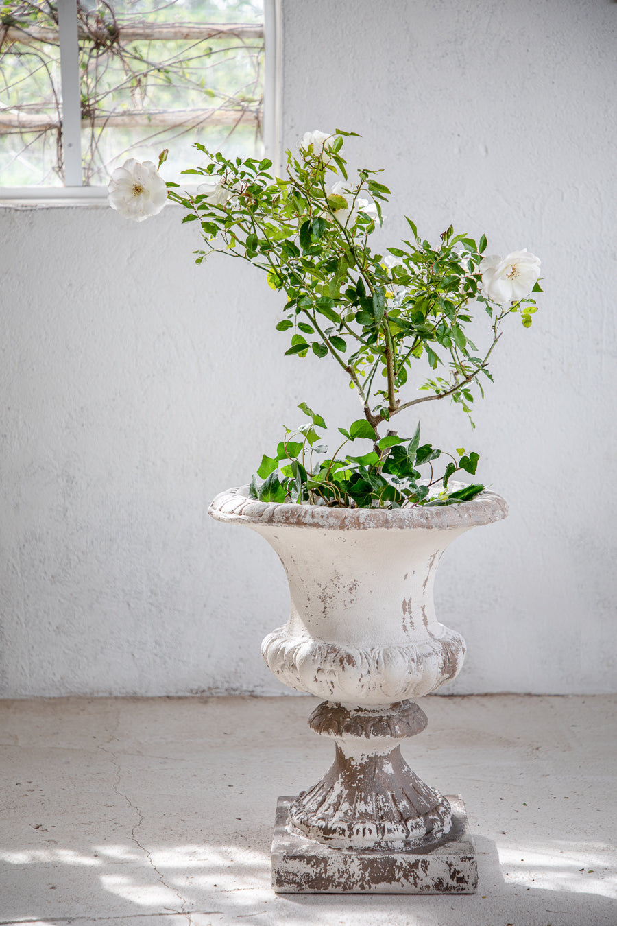 כד יצוק פרובנס 2