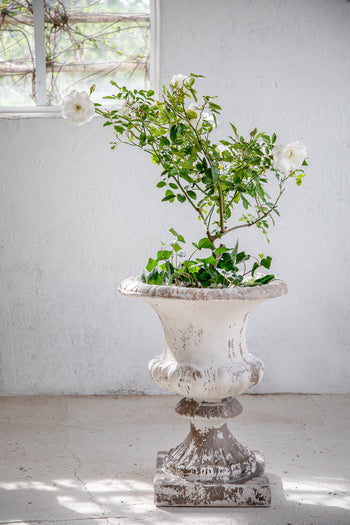 כד יצוק פרובנס 2