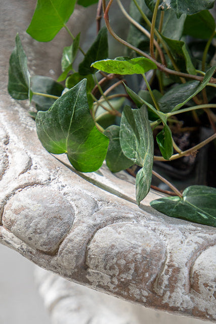 כד יצוק פרובנס גבוה