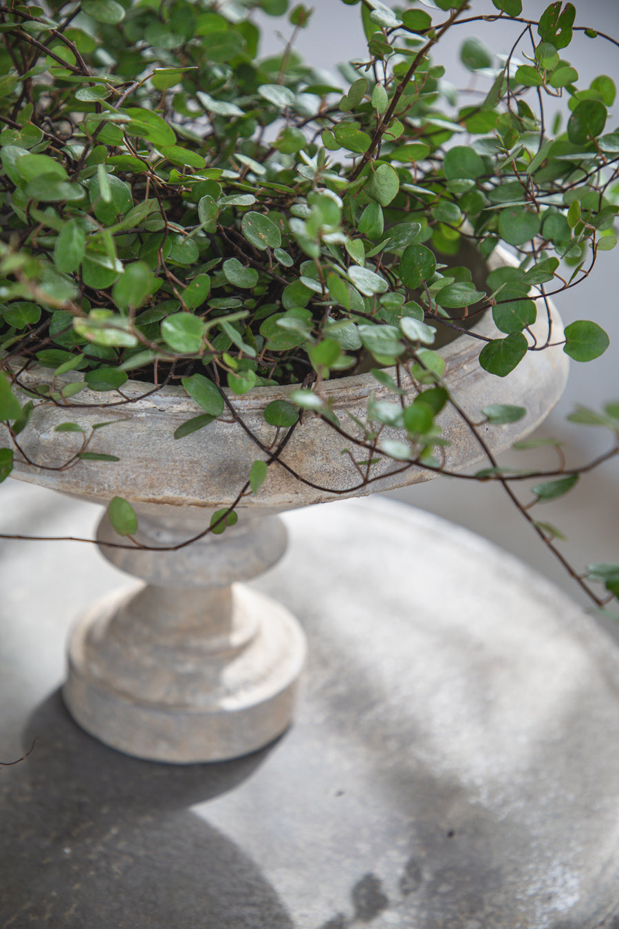 על רגל STONE POWDER קערת