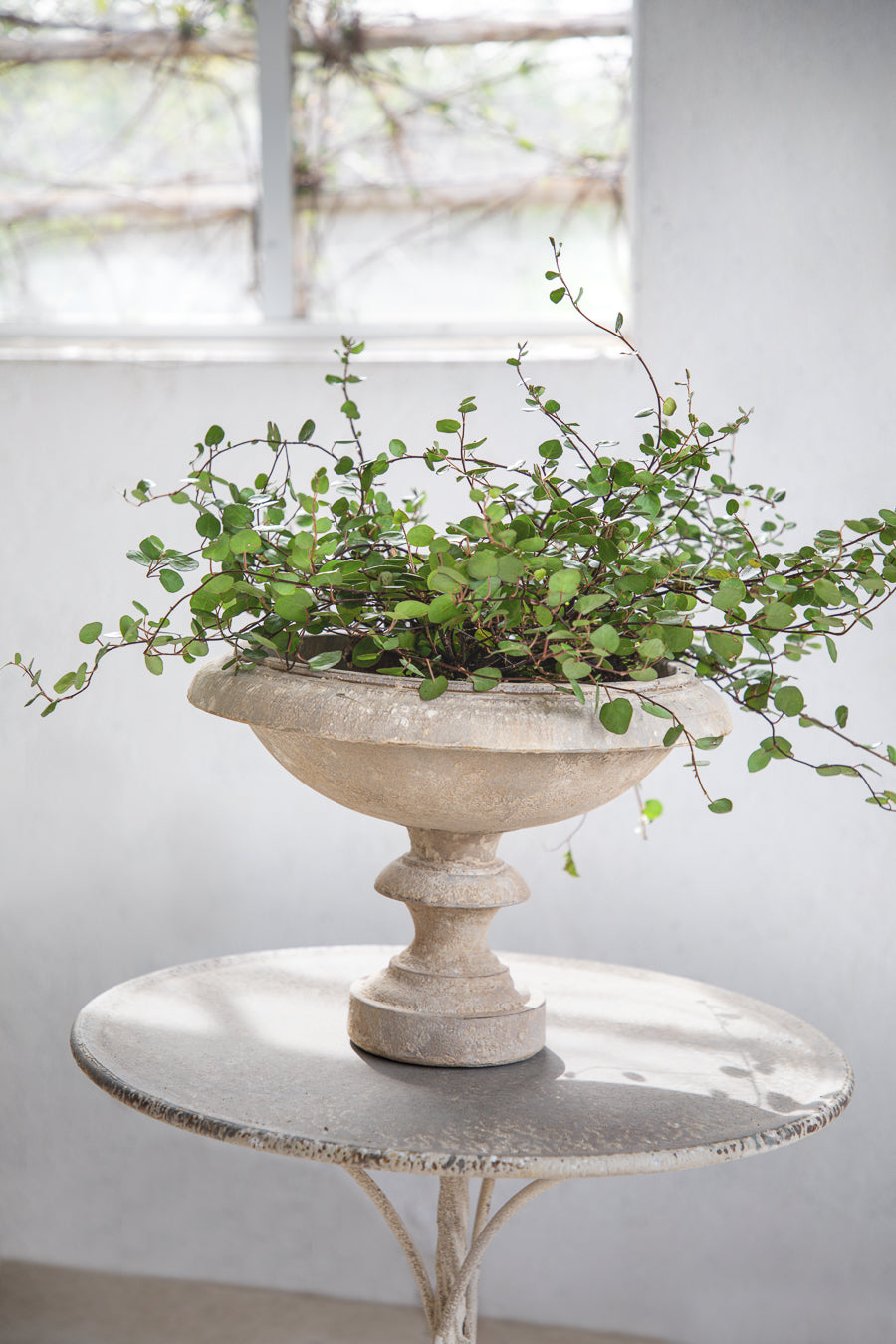 על רגל STONE POWDER קערת