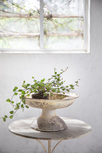 קערת פח עמוקה