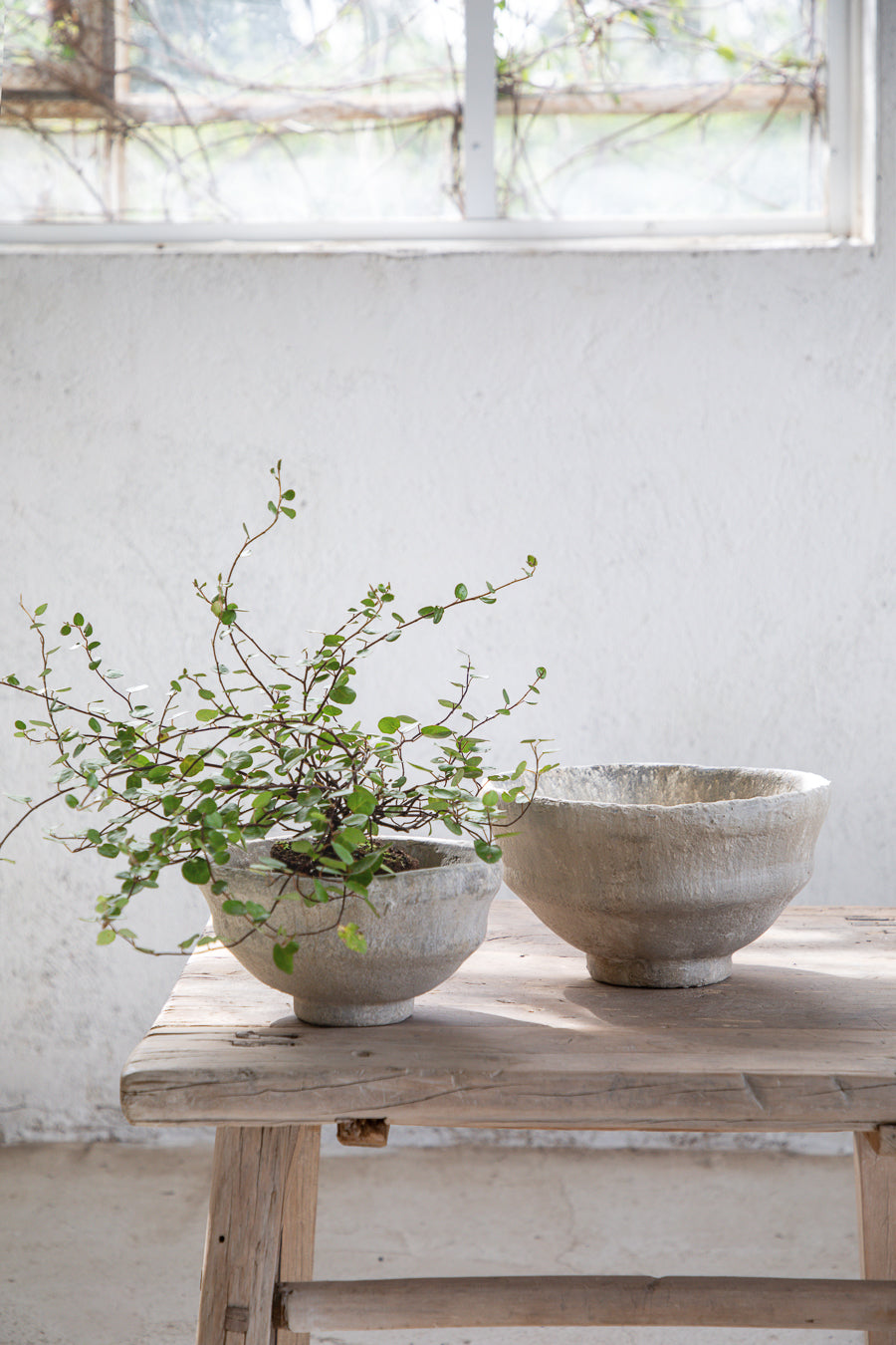 STONE POWDER קערת