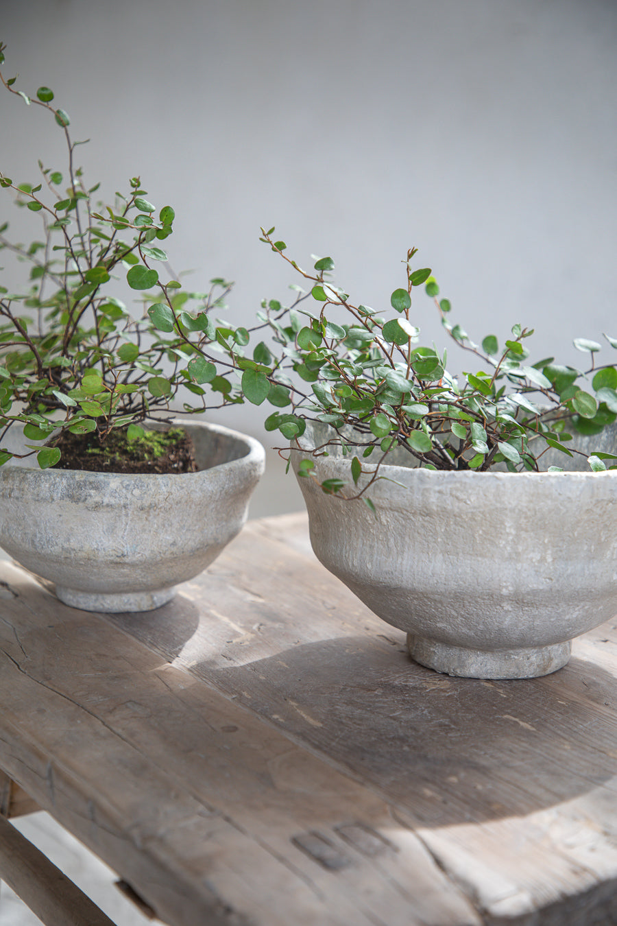 STONE POWDER קערת