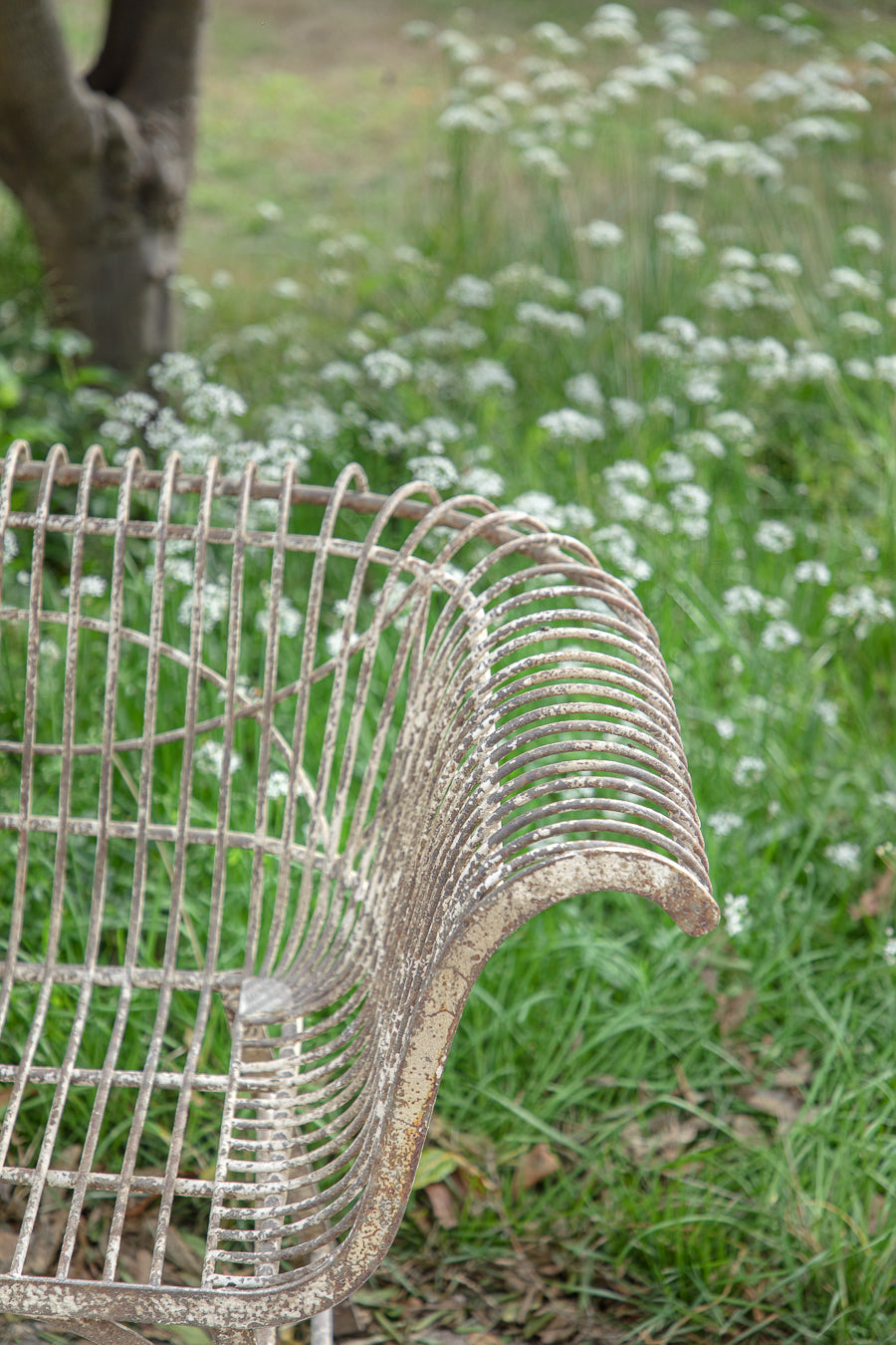 כסא ברזל פרובנס