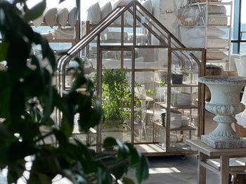 החממות שלנו