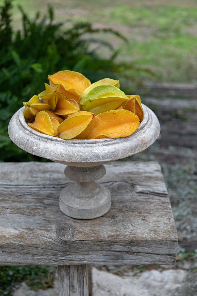 על רגל STONE POWDER קערת