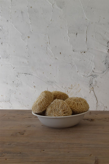 ספוג דיסק סיסל