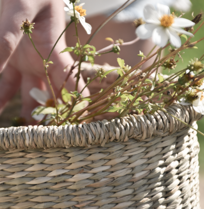 סל פיקניק מאורך