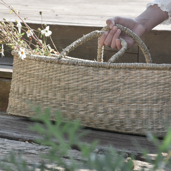 סל פיקניק מאורך