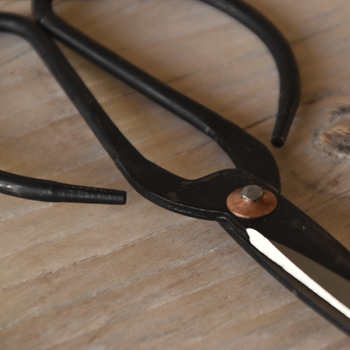 מספריים מברזל