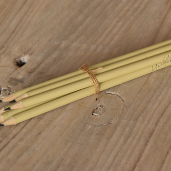 עיפרון עם מחק