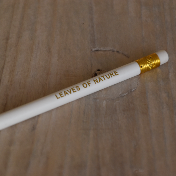 עיפרון עם מחק