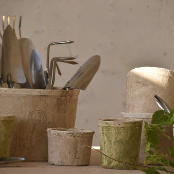 מגרפת עלים ידנית