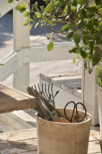 כף שתילה דגם רחב