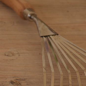 מגרפת עלים ידנית