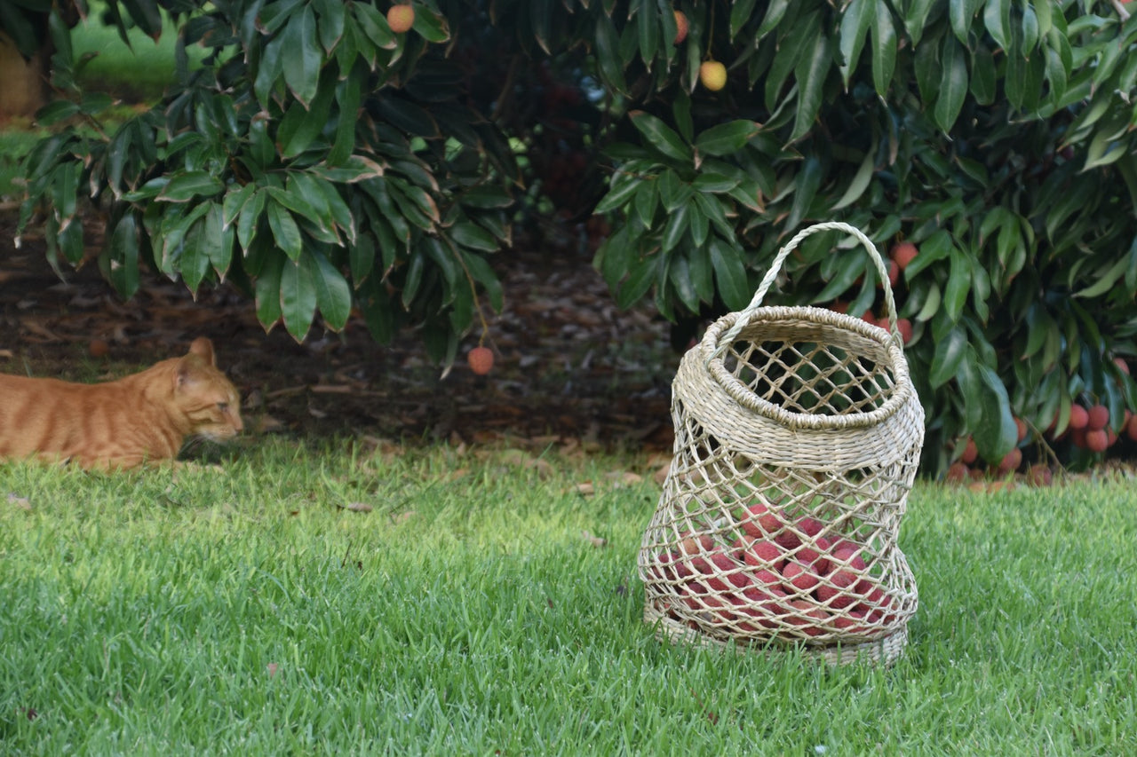 סל סרטנים מאורך
